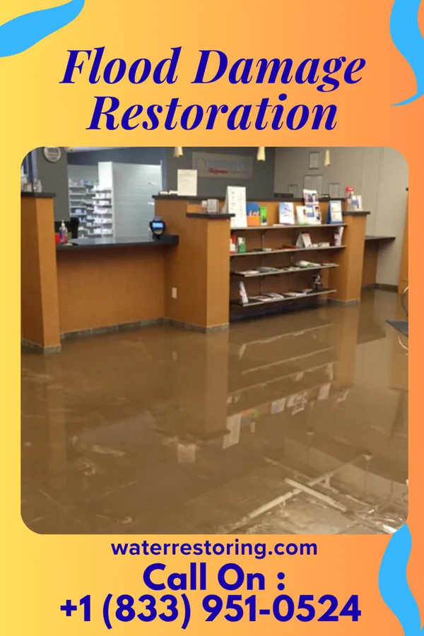 Flood Damage Restoration in Pinckney, MI