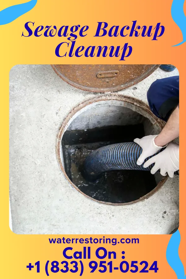 Sewage Backup Cleanup in Pinckney, MI