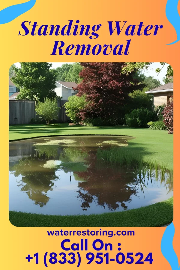 Standing Water Removal in Pinckney, MI